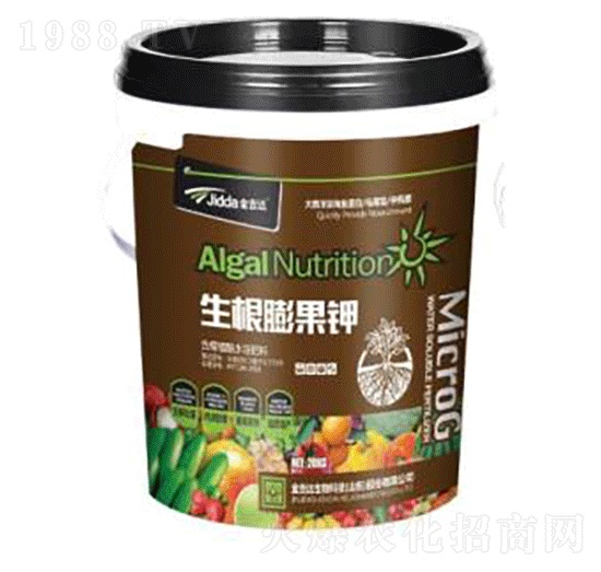 ��������-���_