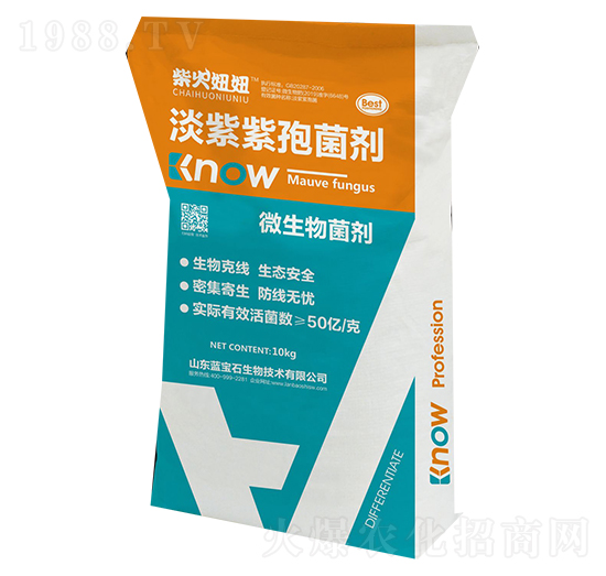 �������߾���-�����-�{��ʯ