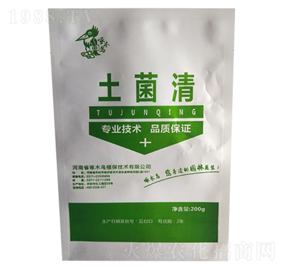 土菌清-啄木鳥(niǎo)