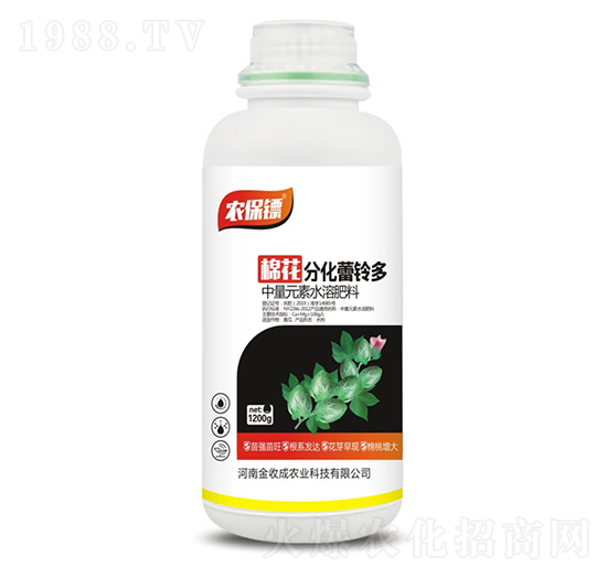 �޻��ֻ���⏶�-�r���S-���ճ�