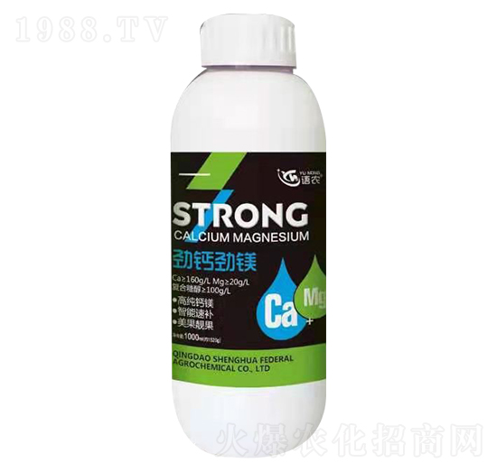 ���}���V-�Z(y��)�r(n��ng)-���A(li��n)��