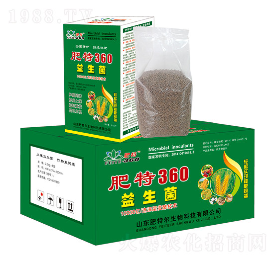 ������-����360-���ؠ�