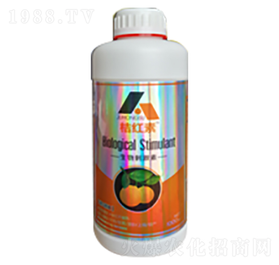 �ټt��-�ն���