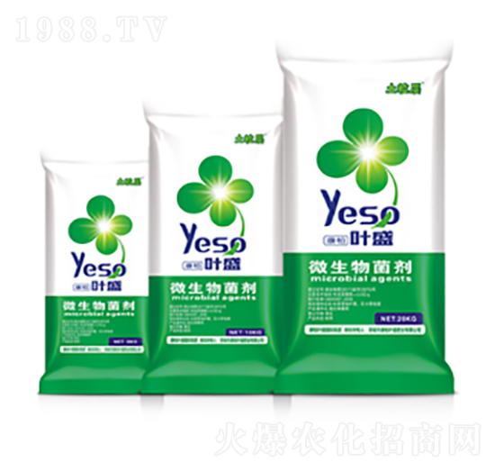 ������΢�������-�~ʢ����