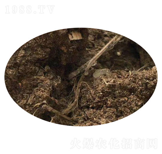 ���u�S-��Ұ�ʘI(y��)