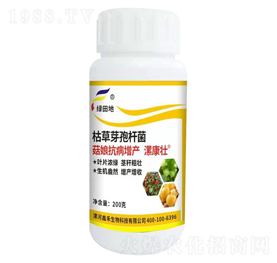 ���￹�����a��-�𿵉�