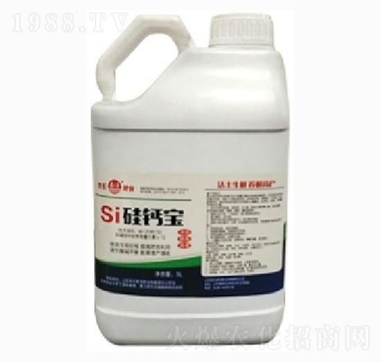 ���}��-̩��ʘI(y��)