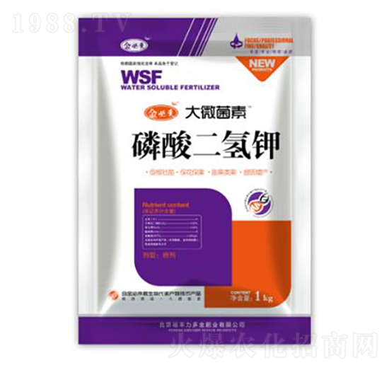 ��������-��؁���΢����-�����