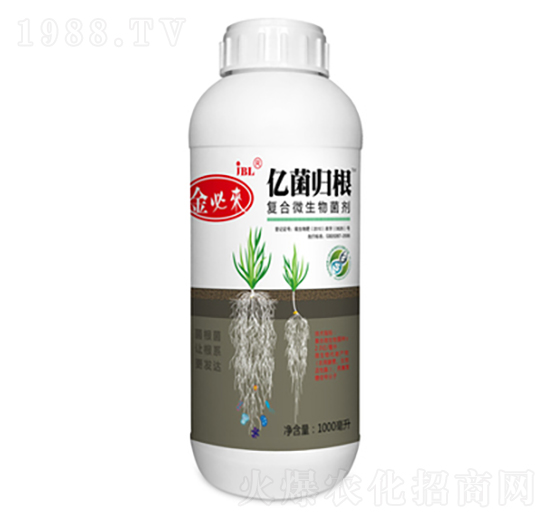 ��(f��)��΢�������-��؁�(l��i)�|���w��-�����