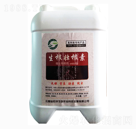 �����Ѹ���-����Ԋ