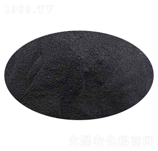 ��������-�sɭ����