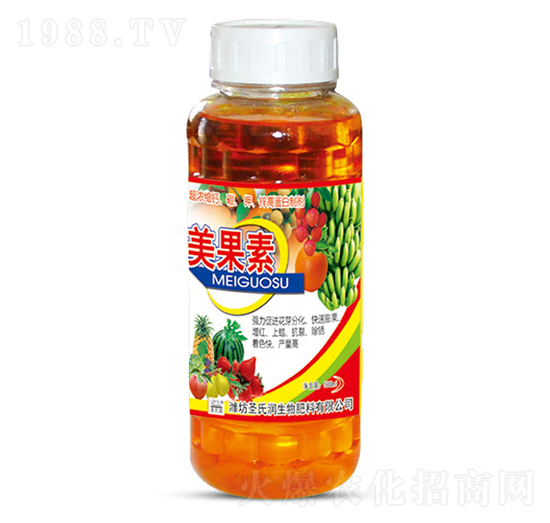 ������-ʥ�ϝ�(r��n)