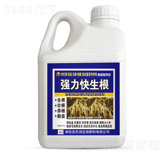 強力快生根-圣氏潤