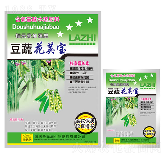 ���߻��v��-ʥ�ϝ�