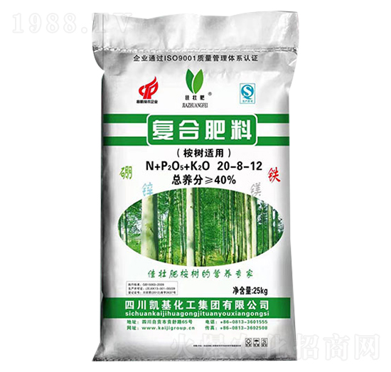 �ͺϷ���(����m��)20-8-12-�P��