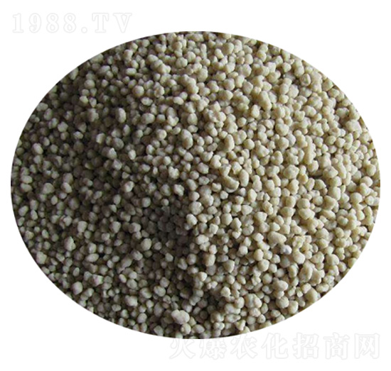 �N�ۏ�(f��)���-��ʢ�ʘI(y��)