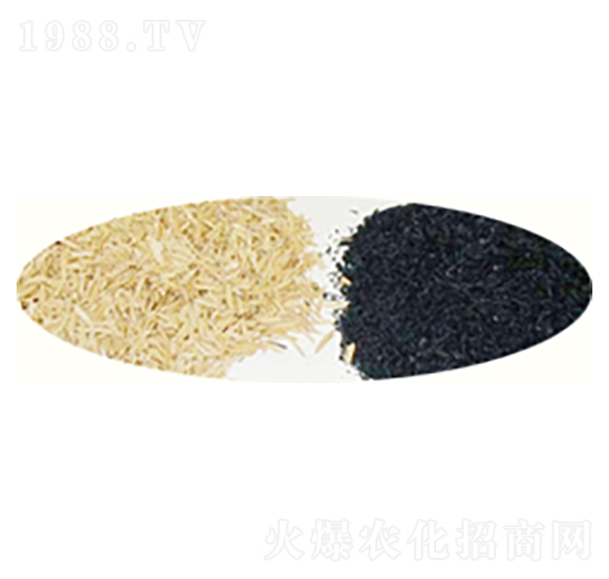 ������������̿-ԣ����Դ