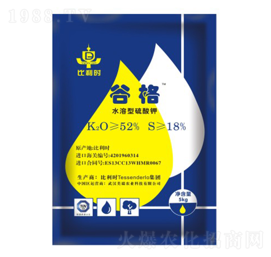 �����r(sh��)�M(j��n)�������-�ȸ�-�����r(n��ng)�I(y��)