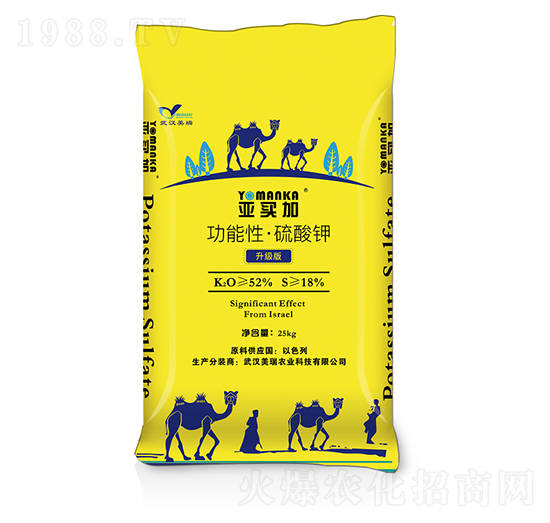 �����͡������-���I��-�����r(n��ng)�I(y��)