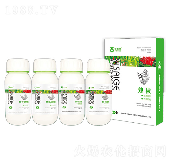 �����߮a�ײ�-��ِ��