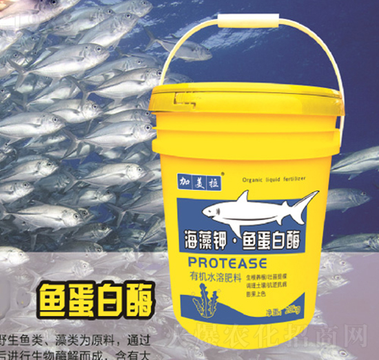 20kg������~����ø-������-������