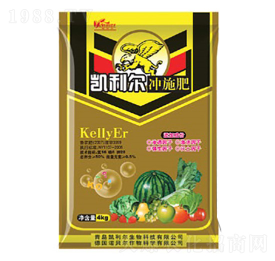 �_ʩ��-�P����