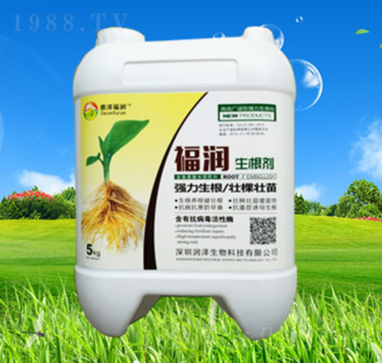 ������-����-��������