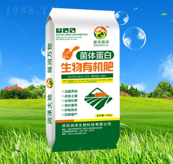 ���w���������ЙC��-��������