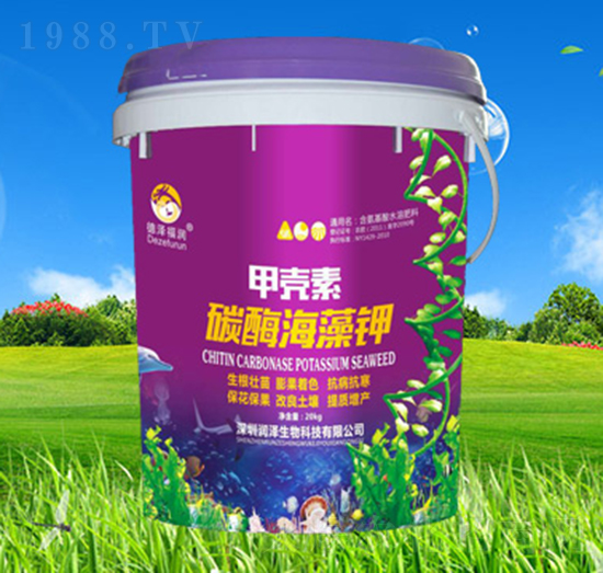 �׿���̼ø�����-��������