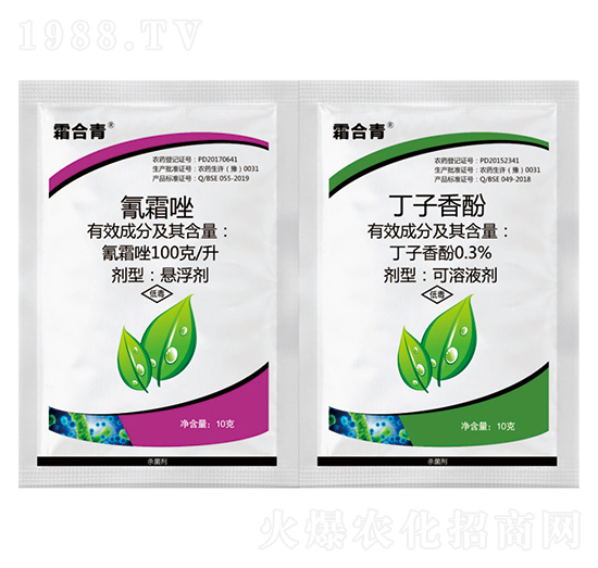 ��˪��+�������-˪����-�ξGԪ