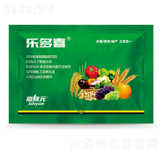 �C�Ϸ������]�M��-����ϲ-�ξGԪ