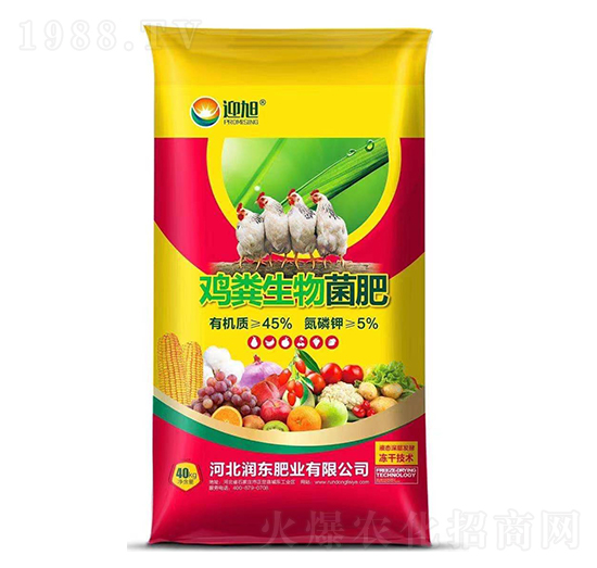 �u�S�������-ӭ��-���|�ʘI(y��)