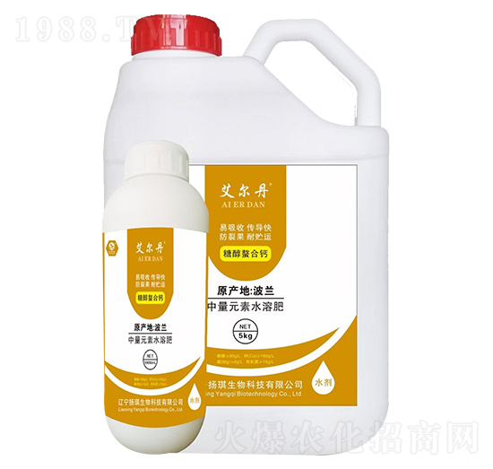 �Ǵ������}-������-�P(y��ng)������