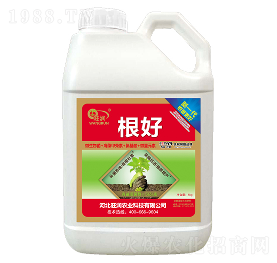 ����-�����r�I(y��)