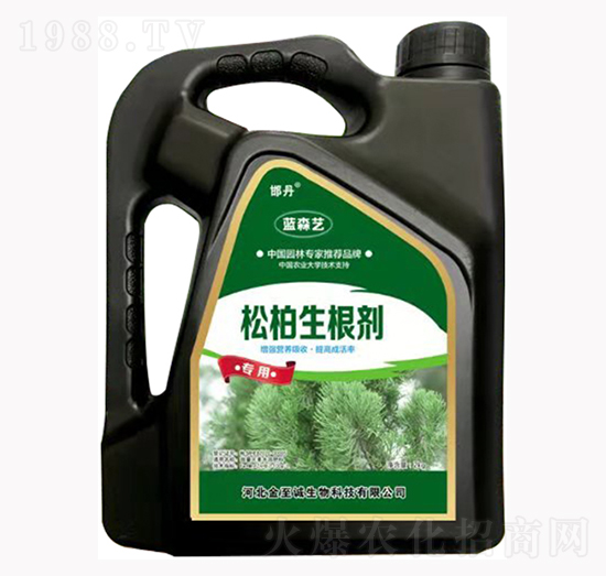 �ɰ�������-�{(l��n)ɭˇ-�����\(ch��ng)