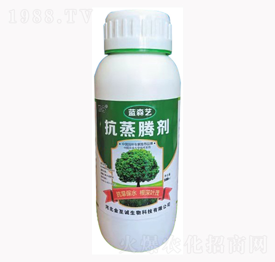 �����v��-�{(l��n)ɭˇ-�����\