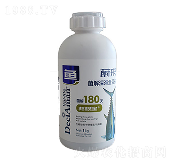 ������~����-ε��-�����P�r