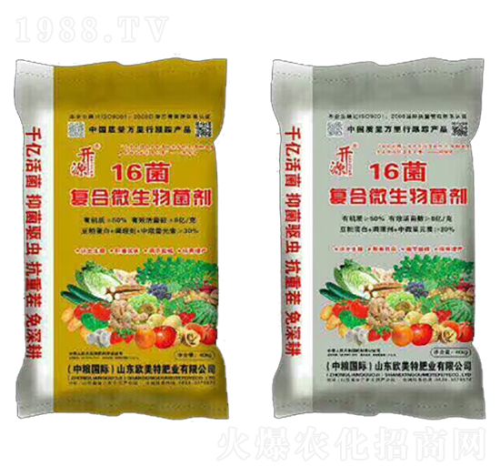 �ͺ�΢�������-16��-��������