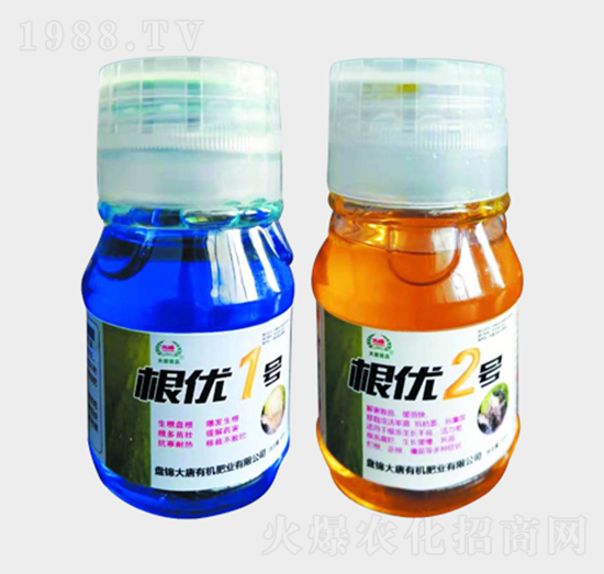 ����(y��u)�M��-�|չ�r(n��ng)�I(y��)