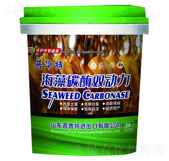 ����̼ø�p����-������