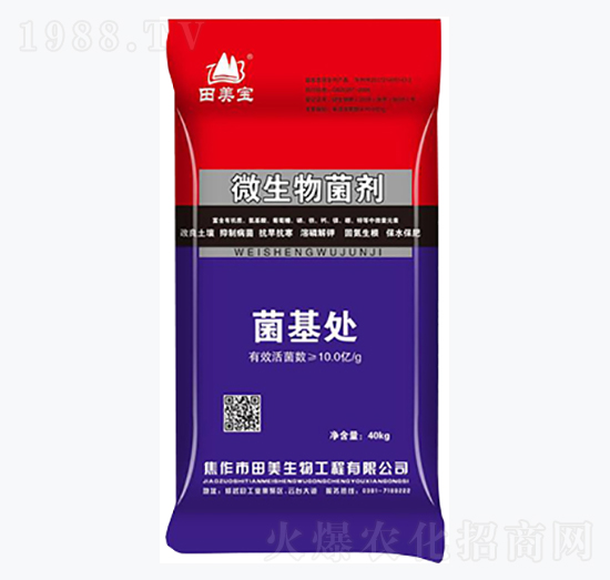 40kg΢�������-����̎-��������