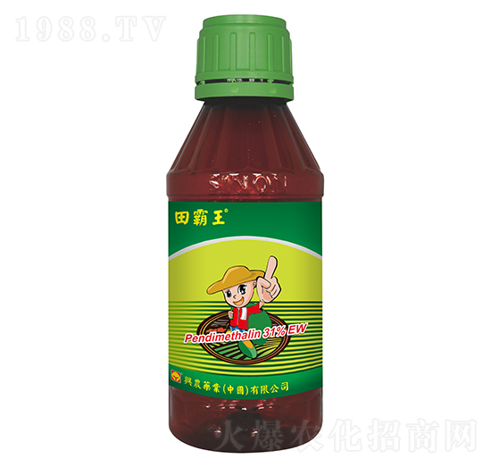 31%�������`ˮ�鄩-�����-�d�rˎ�I(y��)