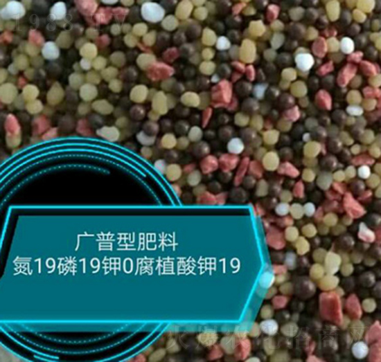 廣普型肥料19-19-0-悅農農業(yè)