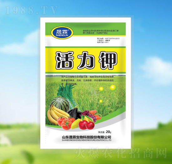 20g�����-��������