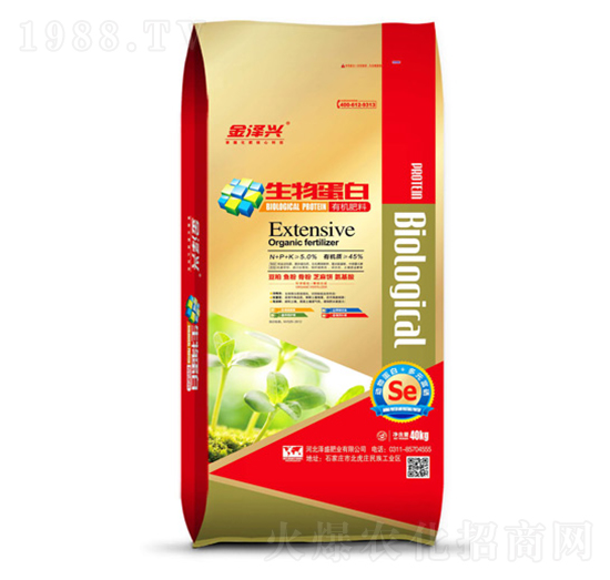 ���ﵰ���ЙC(j��)��-����d-��ʢ�ʘI(y��)