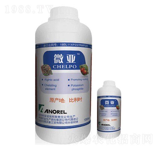 �~���-΢��-�崺�r(n��ng)�Y