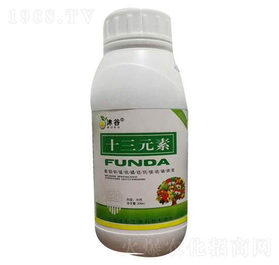 ʮ��Ԫ��-�������