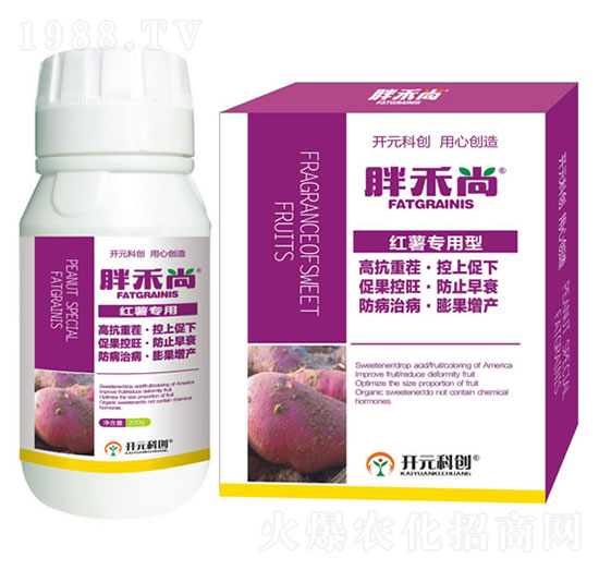 �t�팣����-�ֺ���-����ֲ��