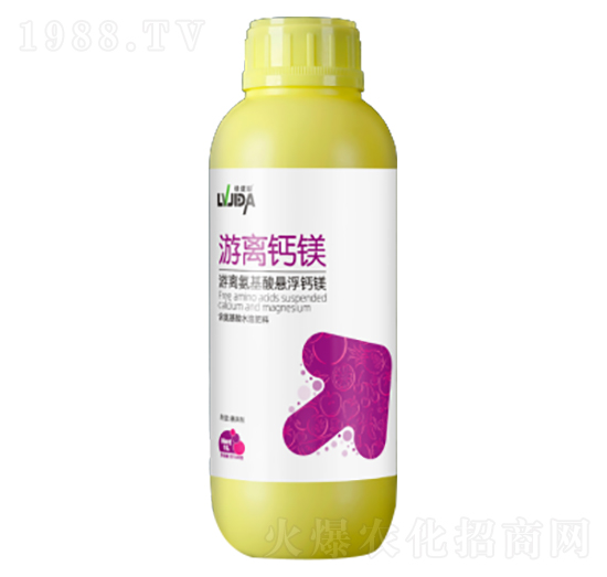 ���x�}�V-�G���}-������