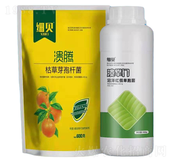 �ݲ�ѿ�ߗU��+�ӝɼt�نΰ���-���v+�����T��(x��)ؐ-������